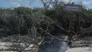 Los geotubos fueron clausurados