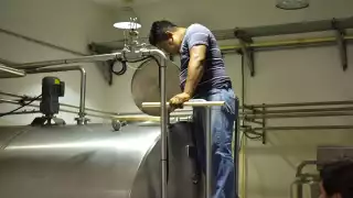 En cuanto a las actividades primarias, donde está la agricultura, ganadería, aprovechamiento forestal, pesca y caza, Campeche presentó una variación positiva