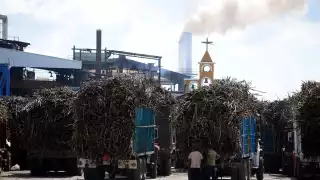 Se registran 850 trabajadores en "La Joya" en cada temporada de zafra