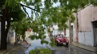 Ciudad del Carmen tendrá un día nublado con altas temperaturas u lluvias por la  Tormenta Tropical “Ida”