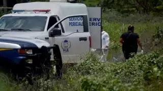 El narcomenudeo afecta principalmente a municipios como Benito Juárez, Solidaridad, Othón P. Blanco, Tulum y Cozumel