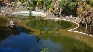 Los espacios, supuestamente planificados para beneficio de la comunidad, dejaron de ser pulmones verdes