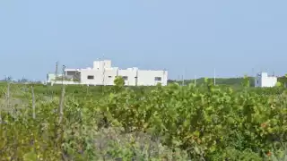 La apropiación de las tierras como la que se dio en el complejo inmobiliario es un tema que “nos atañe a todos”, dicen las ONG