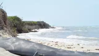 Expertos aseguran que el Cártel de Sisal está acabando con la costa