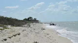 Por sus pistolas, los hermanos Campos Agüero, decidieron que su proyecto no era estatal sino federal