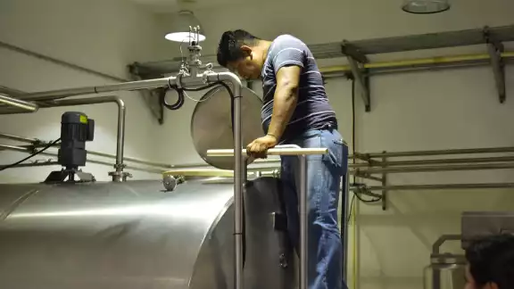 En cuanto a las actividades primarias, donde está la agricultura, ganadería, aprovechamiento forestal, pesca y caza, Campeche presentó una variación positiva