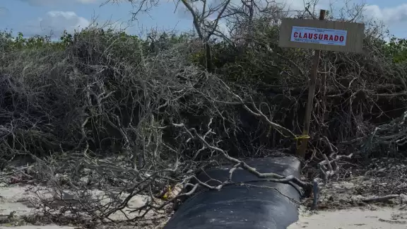 Los geotubos fueron clausurados Los geotubos fueron clausurados