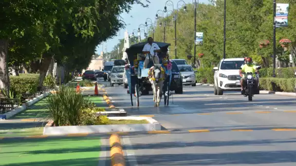 El tránsito para los caballos es mucho más peligroso, ya que acotaron la vía a solo dos carriles que son más pequeños El tránsito para los caballos es mucho más peligroso, ya que acotaron la vía a solo dos carriles que son más pequeños
