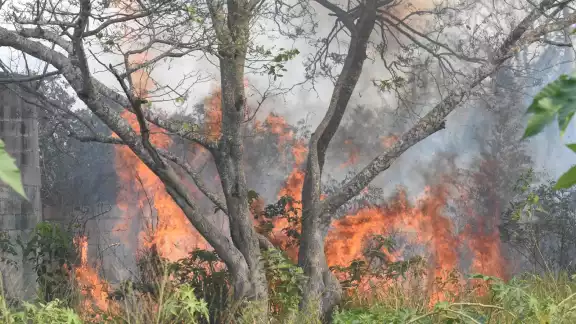 El fuego se extendío desde Chun Ek, hasta una parte de Bacalar, y que en total lleva nueve mil hectáreas consumidas