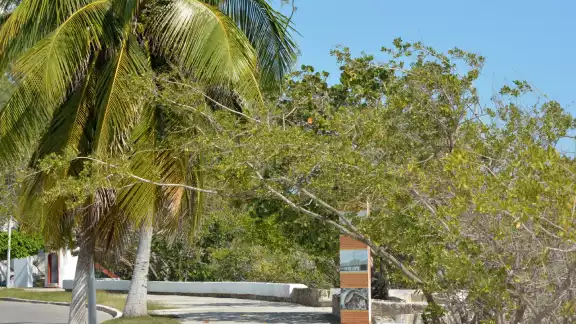 Este es el pronóstico del tiempo en Chetumal y Quintana Roo Este es el pronóstico del tiempo en Chetumal y Quintana Roo