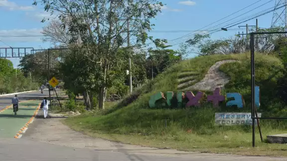 Con un ingreso semanal de entre 700 y 1,500 pesos por familia, los habitantes de nueve comunidades cercanas a esa zona provocan un impacto severo al llamado “Pulmón Verde Con un ingreso semanal de entre 700 y 1,500 pesos por familia, los habitantes de nueve comunidades cercanas a esa zona provocan un impacto severo al llamado “Pulmón Verde