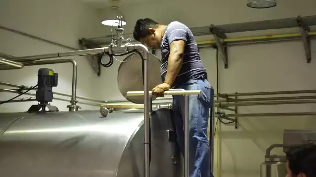 En cuanto a las actividades primarias, donde está la agricultura, ganadería, aprovechamiento forestal, pesca y caza, Campeche presentó una variación positiva