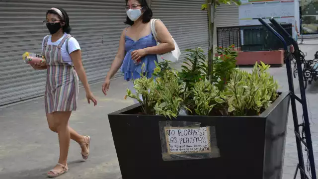 Empleadas colocaron unos anuncios advirtiendo a las personas de no robarse las vegetaciones porque se les está videovigilando