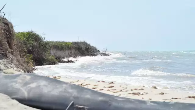 Expertos aseguran que el Cártel de Sisal está acabando con la costa