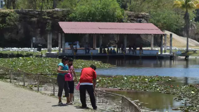El anuncio, afirman, es con tintes políticos rumbo a 2024
