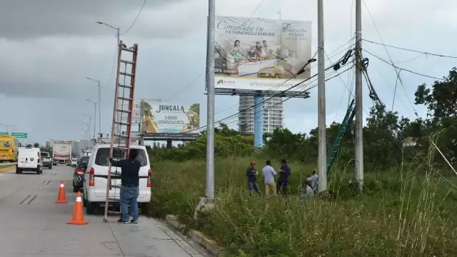 Trabajadores del Ayuntamiento y compañías de telefonía e internet repararon los daños