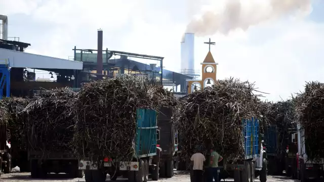 Se registran 850 trabajadores en "La Joya" en cada temporada de zafra