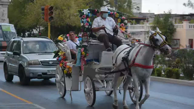 En Yucatán, los carruajes son una larga tradición: además de viables y menos costosos, afirman algunos conductores de la Plaza Grande de Mérida