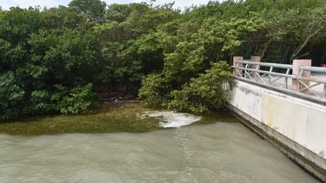 Los residentes locales expresan su preocupación por el estado actual del Malecón Tajamar