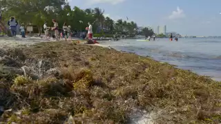 Los barcos que ayudan a la contención del sargazo en Quintana Roo reciben mantenimiento en Veracruz