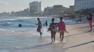 La Semar indicó que las condiciones son favorables para un bajo recale de sargazo