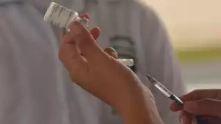 La mayoría de los asistentes acudieron por el requisito de tener un esquema de vacunación