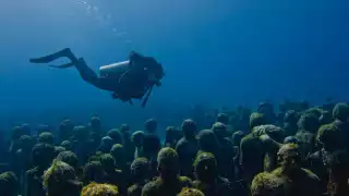 La belleza submarina espera al visitante en Cancún