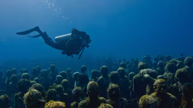 La belleza submarina espera al visitante en Cancún