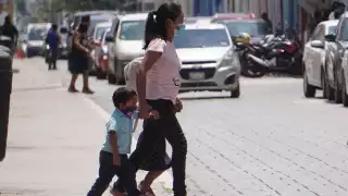 La presidenta de la asociación, Livia Arroyo, consideró que sería una irresponsabilidad volver en estos momentos donde se han detectado casos en niños