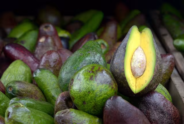 El municipio José María Morelos y Felipe Carrillo Puerto son las productoras de estas frutas locales