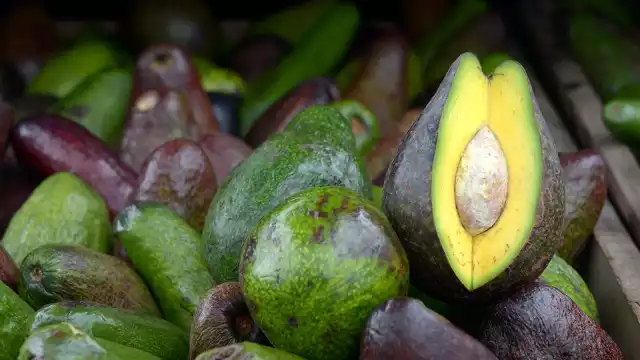 El municipio José María Morelos y Felipe Carrillo Puerto son las productoras de estas frutas locales