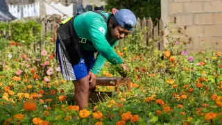 El jardín es un atractivo en la comunidad y es visitado durante todo el año