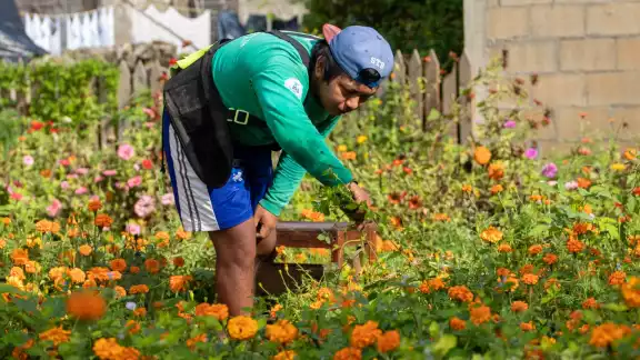 El jardín es un atractivo en la comunidad y es visitado durante todo el año El jardín es un atractivo en la comunidad y es visitado durante todo el año
