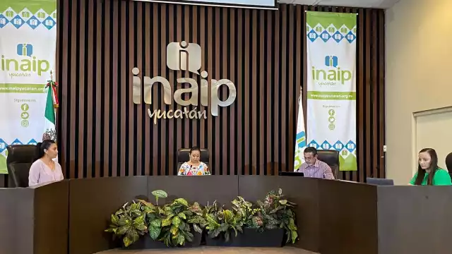 Apenas uno de cada 10 ha “colgado” su información en el Observatorio Electoral del Inaip en Yucatán