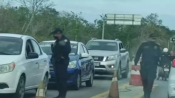 Los vehículos son revisados por agentes de seguridad y binomios caninos Los vehículos son revisados por agentes de seguridad y binomios caninos