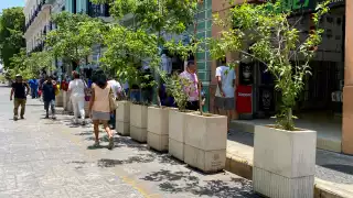 Los ciudadanos piden que quiten los adornos que pusieron por la pandemia en Mérida