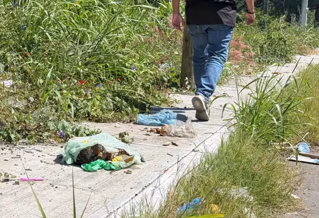 Denuncian lote lleno de basura y maleza en Los Manguitos, Champotón; piden limpieza urgente