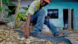 Quintana Roo, con más de 310 mil analfabetas: INEA