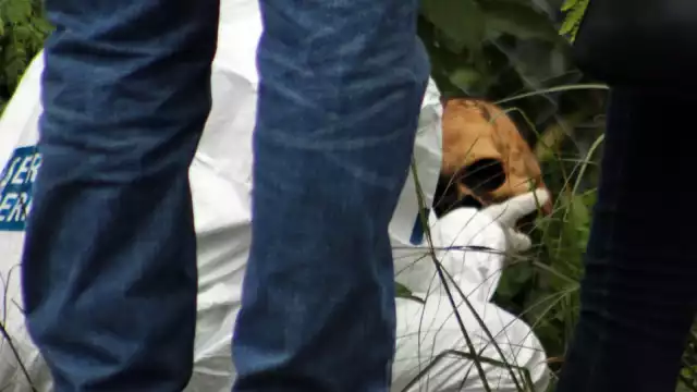 Según datos del SESNSP, Del 1 al 15 de septiembre, en Cancún se registraron 13 ejecutados