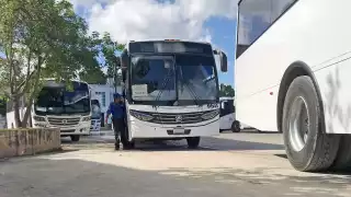 Lipo es una de las empresas que reclutará personal