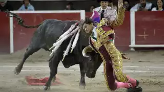Joselito Adame sufre brutal cornada de toro