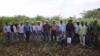 Quintana Roo destina 6 millones de pesos para apoyar a cañeros afectados por la mala zafra