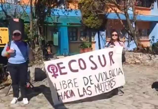 El Colegio de la Frontera Sur pide liberar a la estudiante Esil Safir Romero Flores.