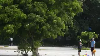 Los habitantes expresaron en un sondeo su confianza por la decisión de construir un parque en La Plancha de Mérida