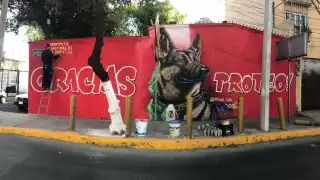 Proteo, el héroe de cuatro patas, ya cuenta con un corrido en su memoria.
