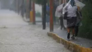 La Tormenta Tropical Idalia se encuentra a 160 de la isla de Cozumel