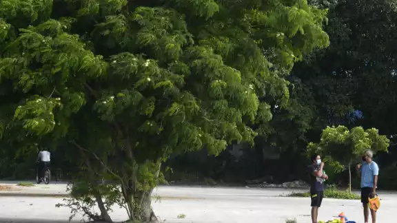 Los habitantes expresaron en un sondeo su confianza por la decisión de construir un parque en La Plancha de Mérida Los habitantes expresaron en un sondeo su confianza por la decisión de construir un parque en La Plancha de Mérida