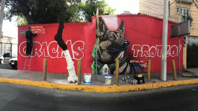 Proteo, el héroe de cuatro patas, ya cuenta con un corrido en su memoria.