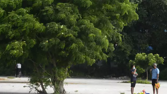 Los habitantes expresaron en un sondeo su confianza por la decisión de construir un parque en La Plancha de Mérida