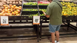 Alza en jitomate, limón y pepino durante la Cuaresma golpea el bolsillo de familias cancunenses
